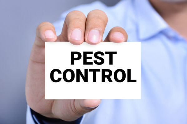 California Branches 2 and 3: General Pest and Termite